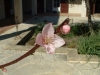 DSCF0014
